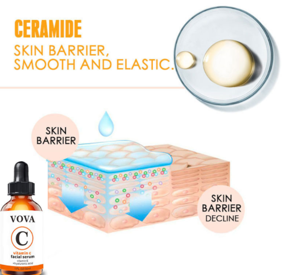 Sérum Facial Vitamina C | Iluminador, Hidratante y Antioxidante | con Vitamina E y Primrose | 30ml